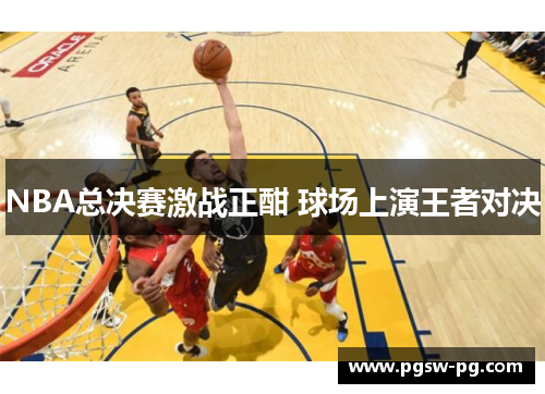 NBA总决赛激战正酣 球场上演王者对决