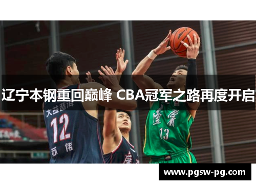 辽宁本钢重回巅峰 CBA冠军之路再度开启