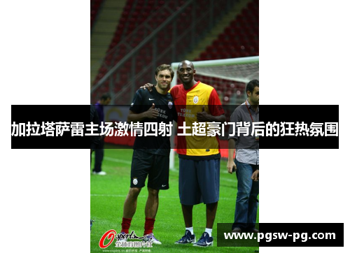 加拉塔萨雷主场激情四射 土超豪门背后的狂热氛围
