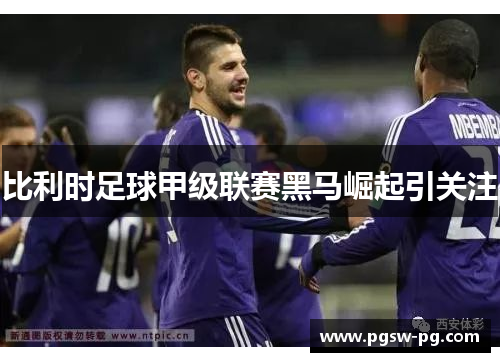 比利时足球甲级联赛黑马崛起引关注
