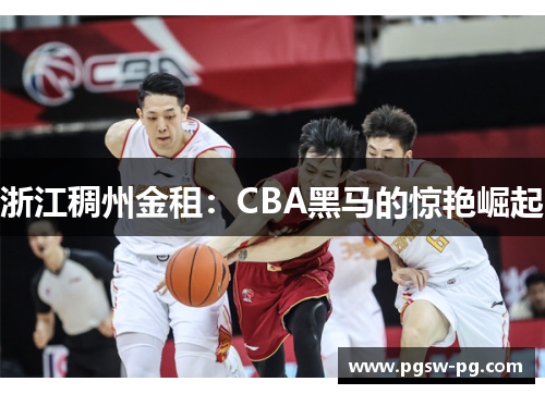 浙江稠州金租：CBA黑马的惊艳崛起