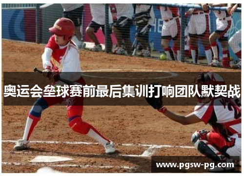奥运会垒球赛前最后集训打响团队默契战